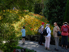 Botanischer Garten Innsbruck und Schloss Trauttmannsdorff 2014